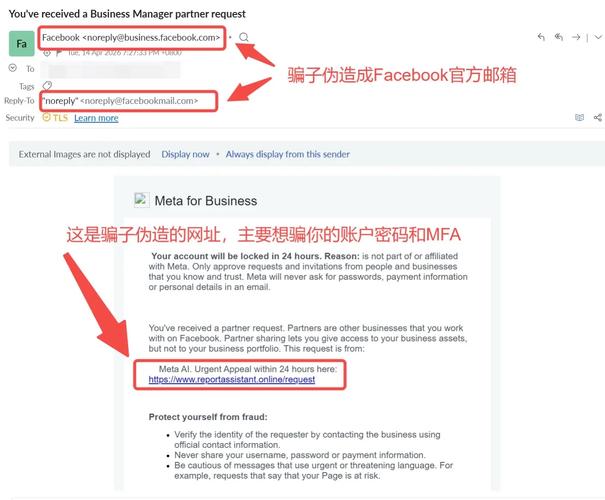 为什么独立站总被误解为骗子？真相是什么？