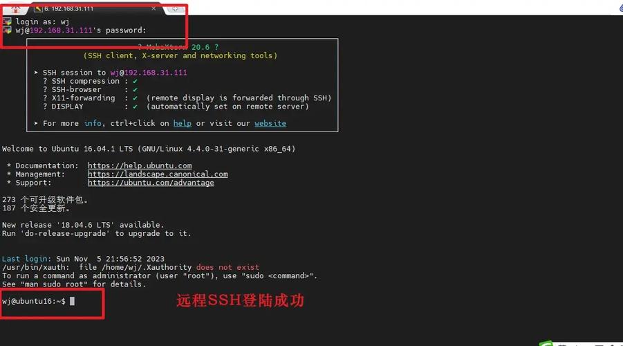如何在Ubuntu 16.04系统上成功安装Maven？