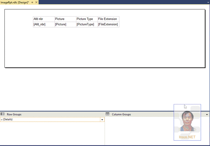 如何动态生成rdlc报表实例？