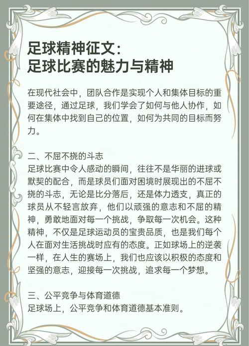 中国足球核心数据库具体内容是什么？