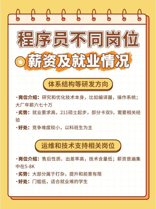 学会编程，难道不能让我拿高薪吗？