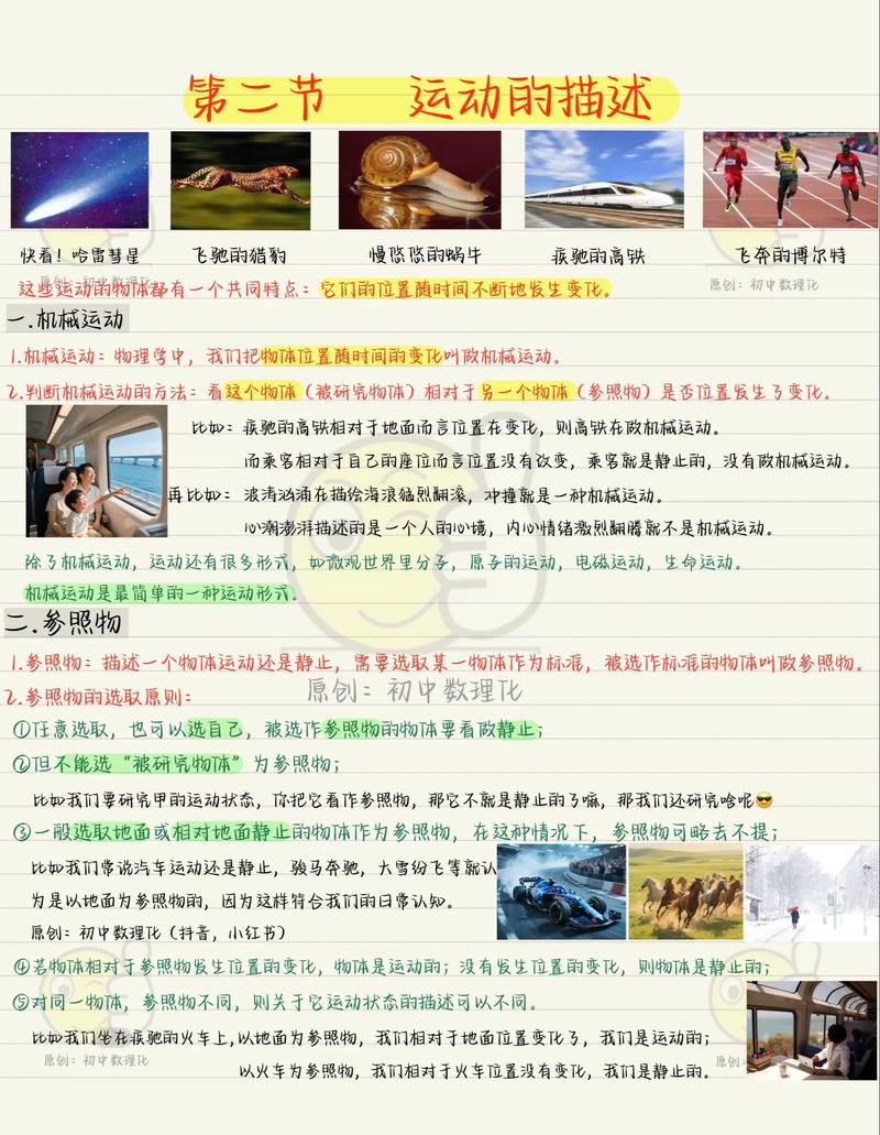 运动项目与运动内容有何根本差异？