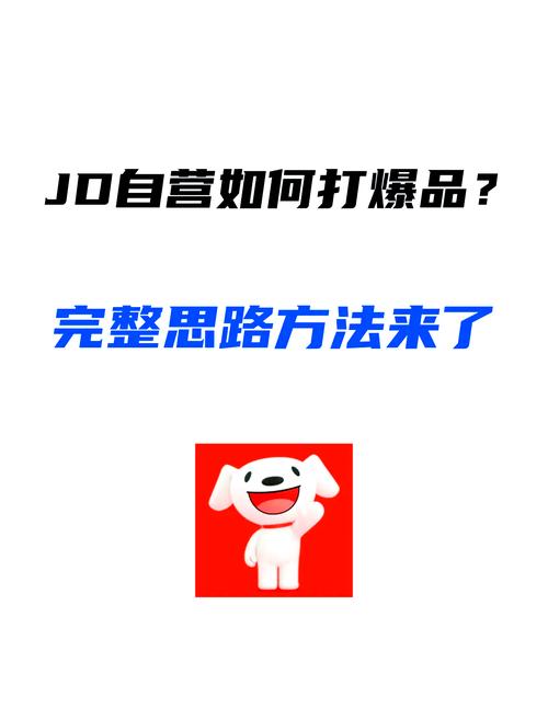 如何通过爆款管理秘籍，轻松提升京东店铺销量分类效果？