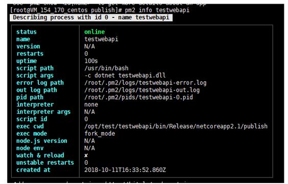 如何通过pm2高效守护并优化.NET Core应用程序的运行状态与性能？
