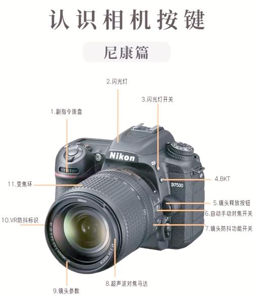 尼康D300s单反相机入门教程，有哪些参数配置需要了解？