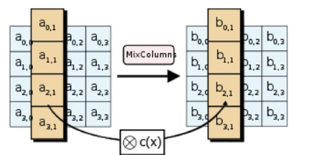 Homomorphic Evaluation如何应用于AES电路的解析？