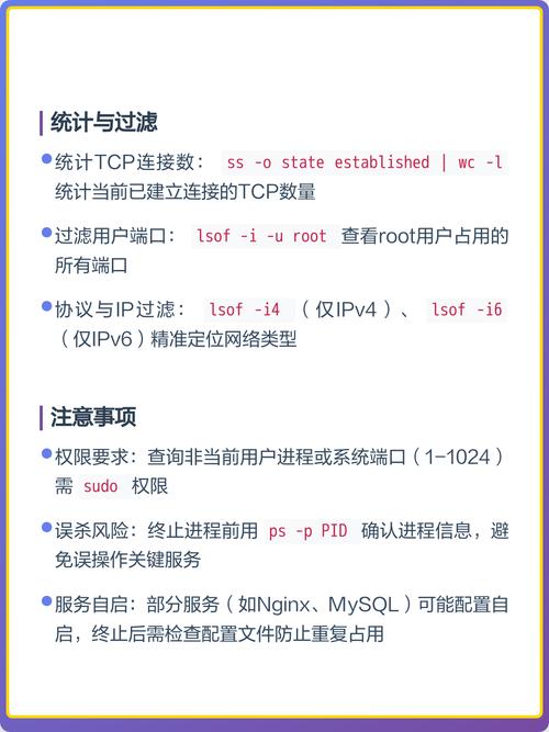 如何详细查询Linux系统下特定端口的占用状态及运行进程？