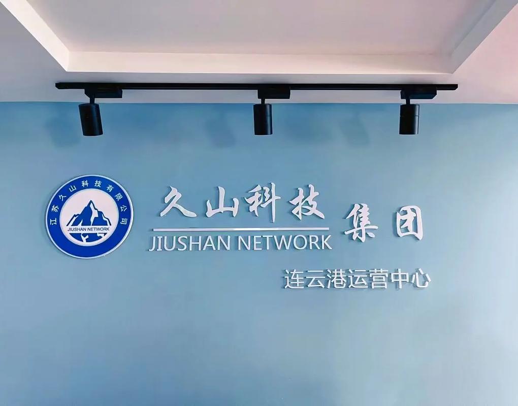 连云港网站建设专业公司与网络公司崛起发展之路是怎样的？