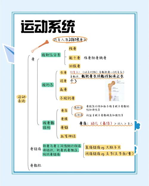 人体数据库具体包含哪些信息？