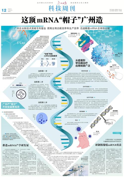 长沙依诺生物科技如何构建mRNA领域的全球顶尖平台？