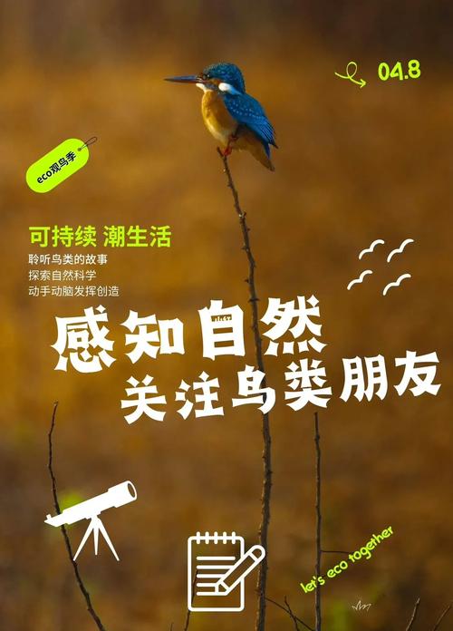 独立站投放小鸟广告具体是哪种营销方式？