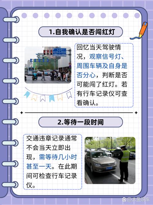 如何快速查询技巧，有效应对交通违规问题？