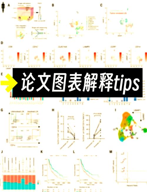 如何通过GMT《图多集池化在图表示学习中的准确应用》进行论文解读？