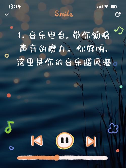 百度会员专享高品质音乐，如何打造无与伦比耳朵盛宴，让每一刻都充满音乐魅力？