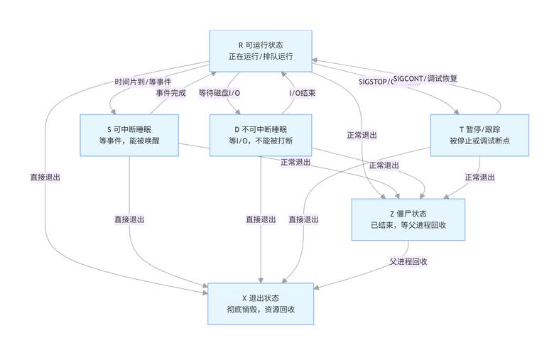 如何通过Goroutines深入理解并发编程，进而构建高效的分布式计算模型？