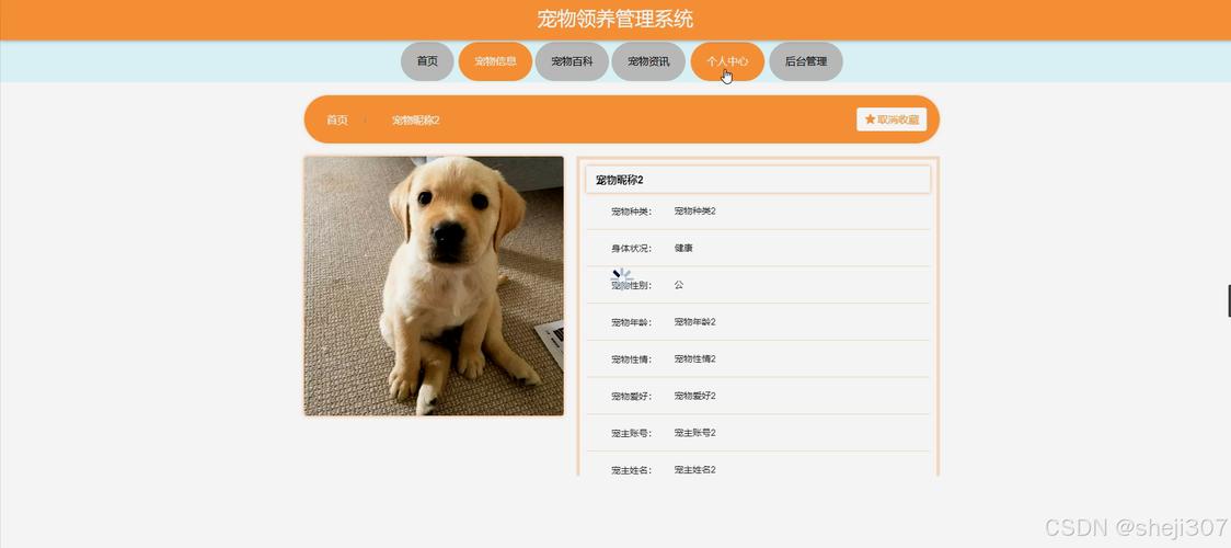 如何利用SSM技术打造一个长尾关键词驱动的宠物领养信息查询系统？