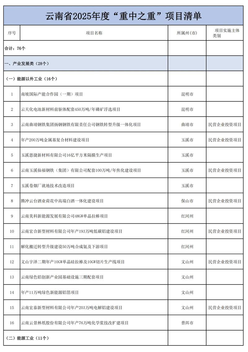 哪些项目因其重要性和影响力，可以被称为重大重点项目？