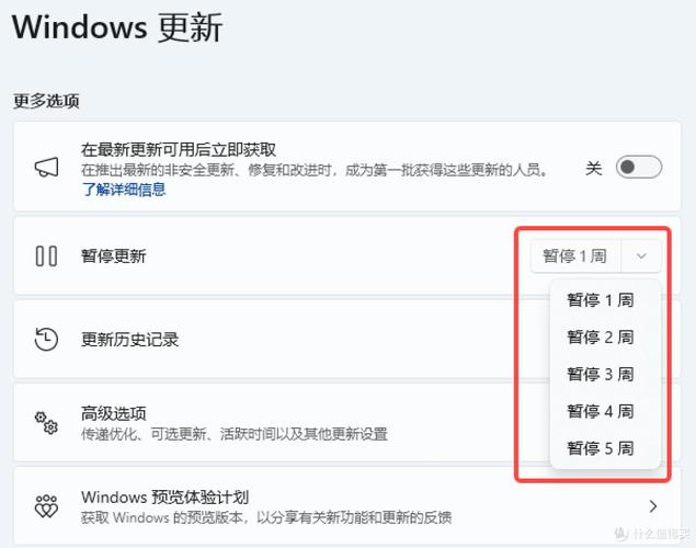 如何设置Windows 11电脑定时自动关机功能？