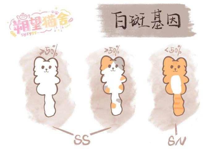 野猫基因数据库具体包含哪些基因信息？