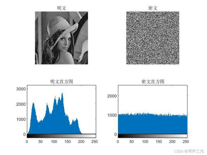 基于双相位编码的Matlab单通道彩色图像加密方法，源码包含在内，如何实现？