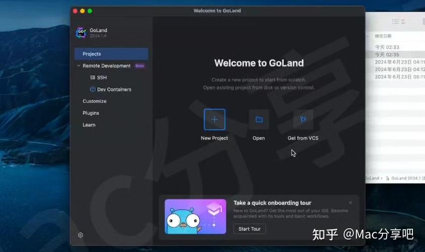 Go语言开发工具具体有哪些？