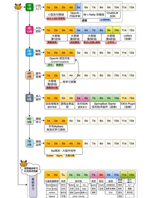 如何通过Java项目实战掌握开发逻辑与技巧解析？