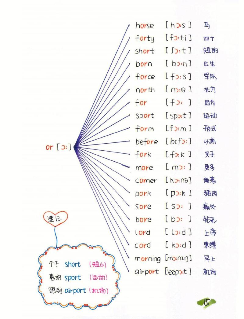如何运用单词记忆技巧，提高词汇记忆效率？