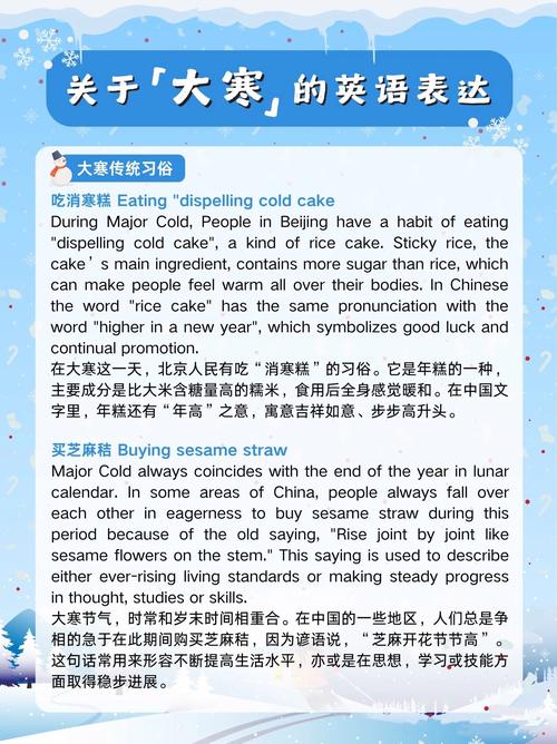 SnowflakeId是什么意思？能详细解释一下吗？