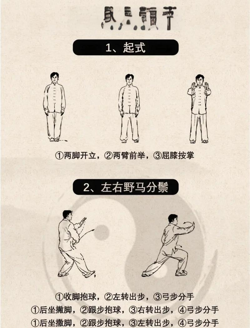 如何零基础快速学会24式太极独立站姿练习技巧？
