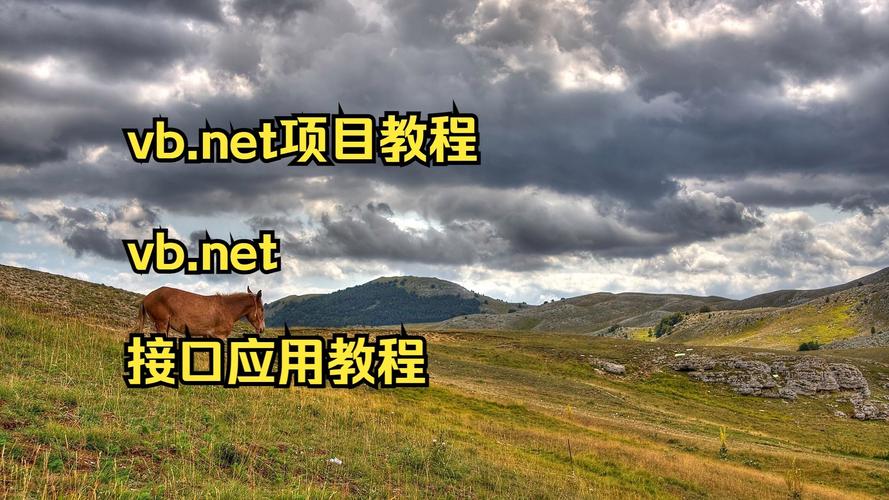 在VB.NET中，加载事件后如何使用.NET进行操作？