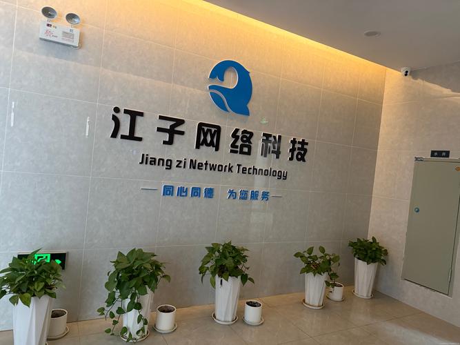 江宁专业网站建设公司，哪家能引领优质网络门户建设的先锋力量？