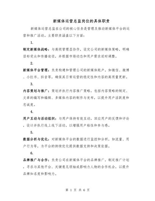 新媒体运营总监的核心职责与领导力如何体现？