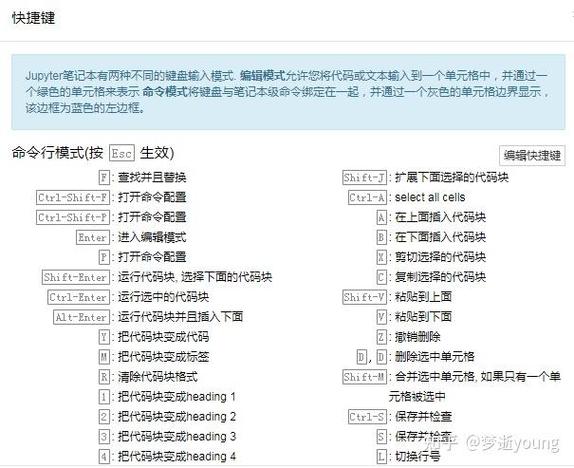 有哪些Jupyter Notebook高效技巧是初学者必须掌握的？