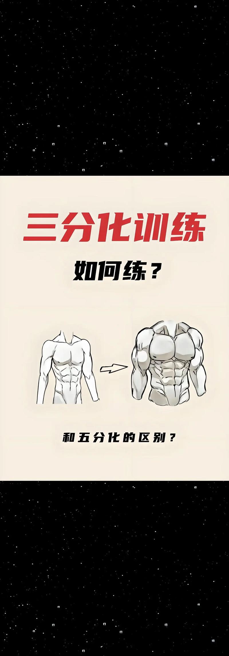 不同训练项目之间有哪些显著差异或特点?