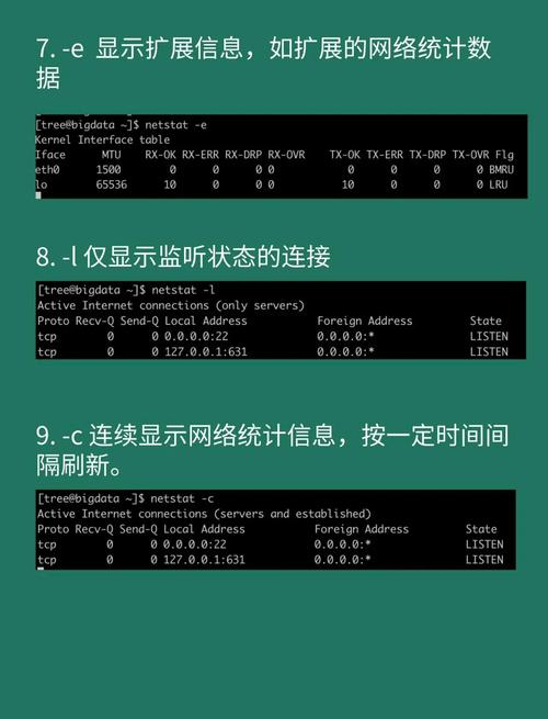 如何通过ifconfig精确监控网络状态，优化网络使用效率？
