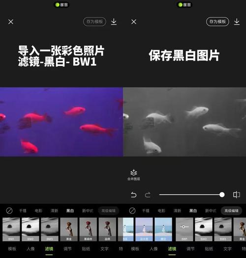 如何使用Exif.js对图片进行旋转修正以纠正拍摄偏差？