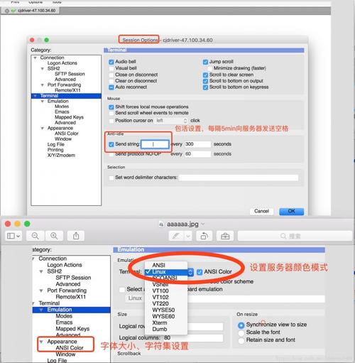 Debian SecureCRT直接实现SSH连接，能显著提升远程操作安全性吗？