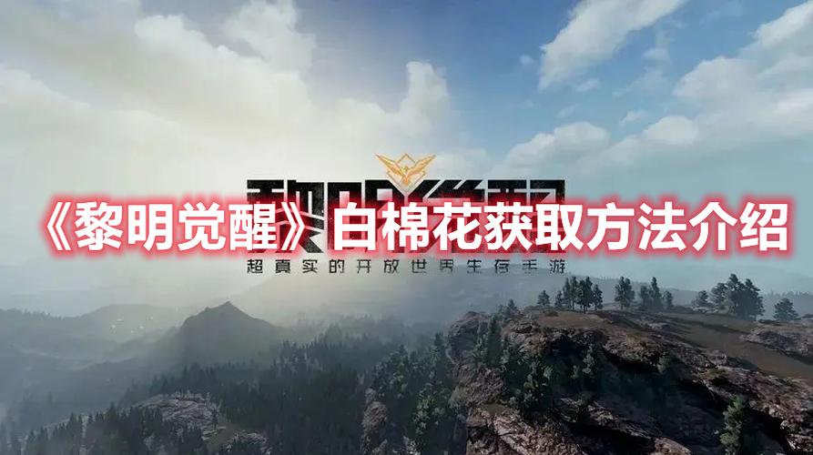 《黎明觉醒》中白棉花具体位置在哪里能获得？