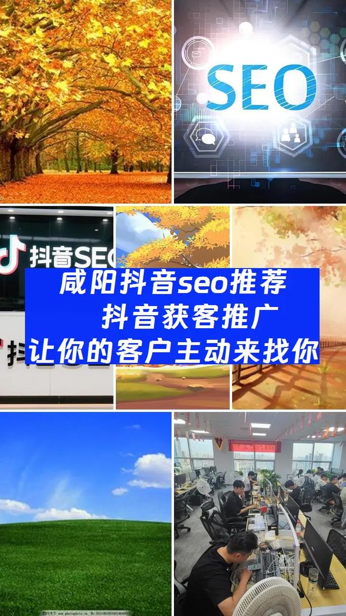 咸阳SEO优化，专业网站定制，哪家公司能提供最优质服务呢？