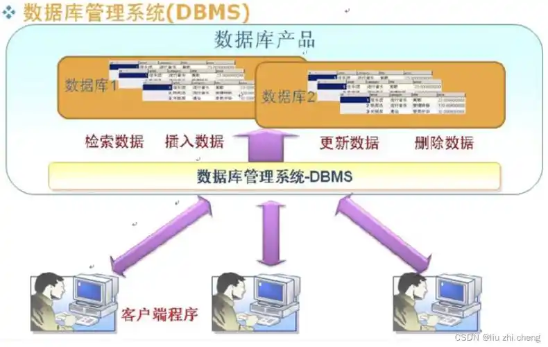 数据库技术中，高级的数据库管理系统（DBMS）指的是什么？