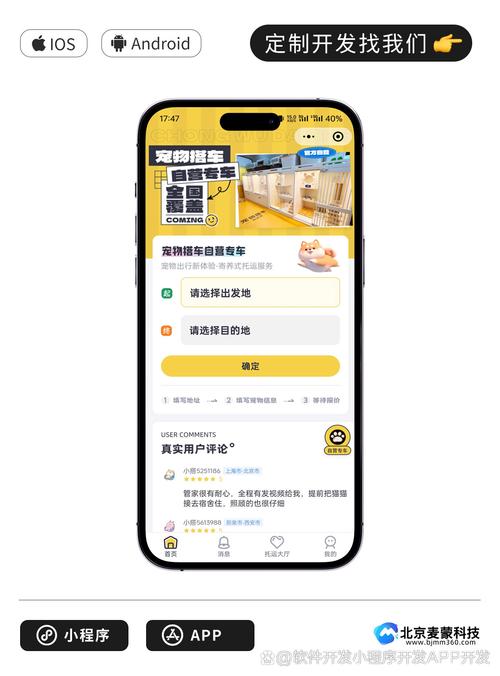 如何通过长尾关键词优化，让宠物托运寄养网站快速登上搜索引擎首页？
