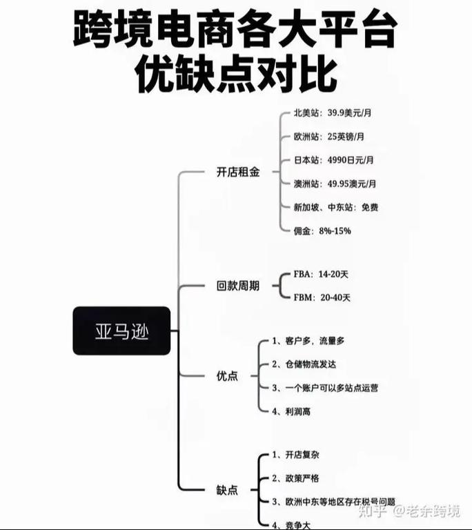 如何高效铺货与代发跨境独立站，核心策略与成本风险对比分析？