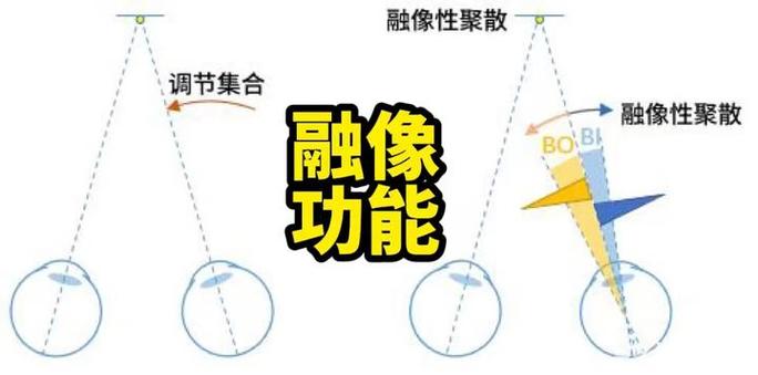 NHibernate的集合支持为何显得有些让人尴尬？