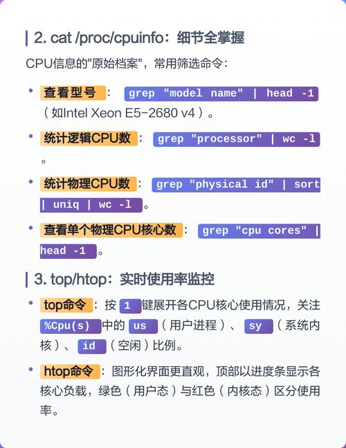 如何快速查看并调整Linux系统CPU缓存大小以显著提升系统性能？
