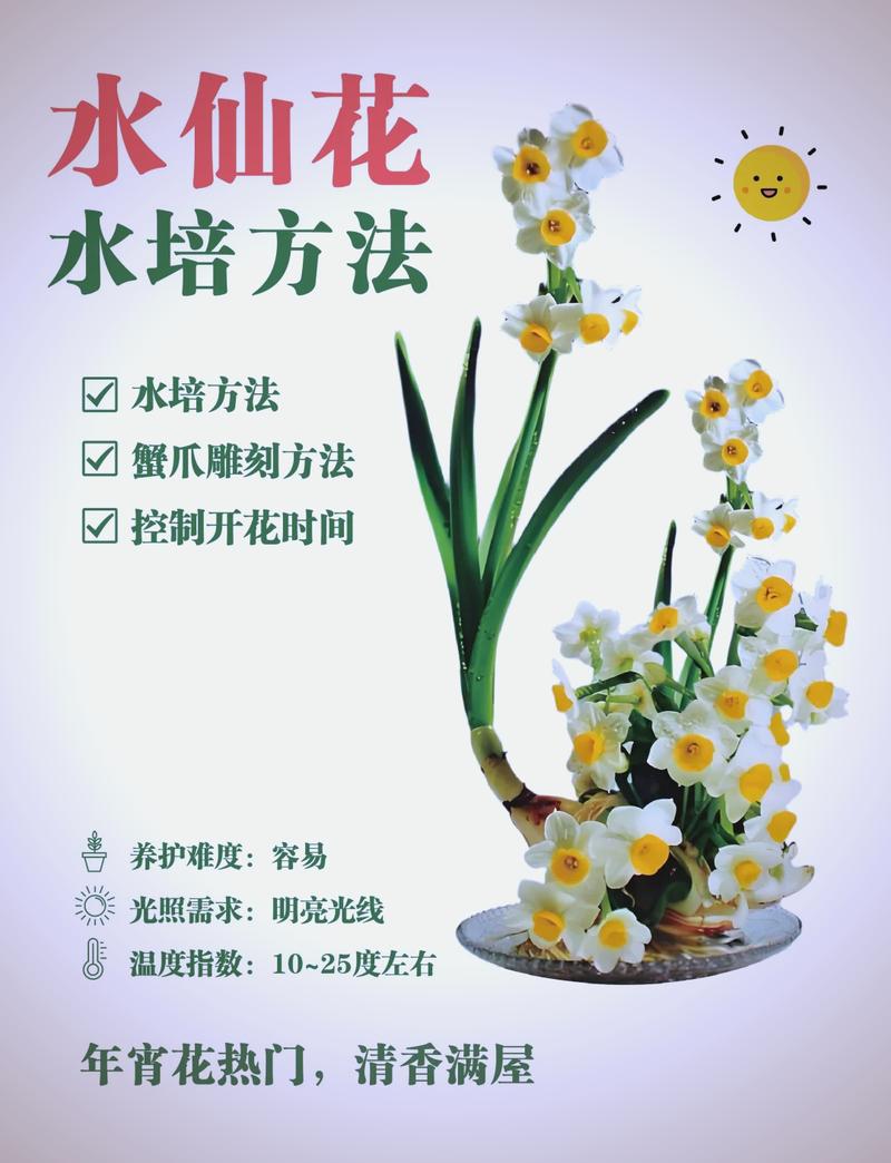 室内植物养护，如何科学掌握水、光、通风三要素？