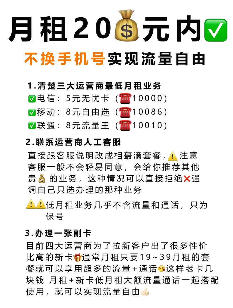 如何轻松获取京东自然流量，掌握流量秘籍？🔍💰