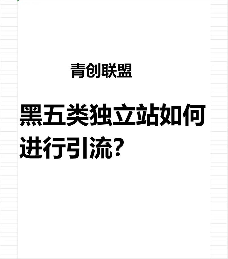 如何从零开始，避开陷阱，成功在独立站销售黑五类产品？