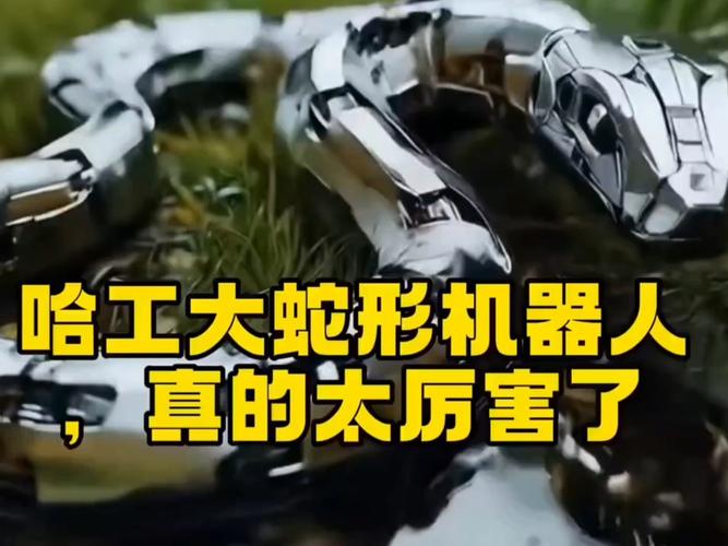 动作捕捉在蛇运动分析及蛇形机器人开发中能发挥怎样的长尾效应？