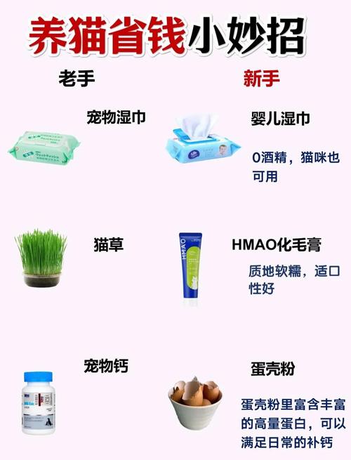 如何制定宠物用品网站预算，有哪些节省开支的妙招？