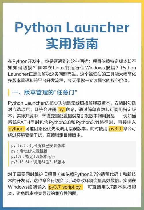 Python Launcher使用技巧与要点汇总有哪些？